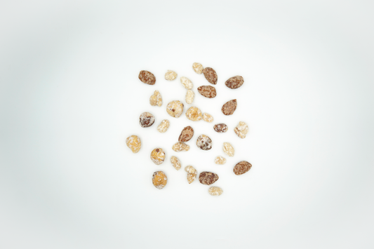 Frutta secca pralinata